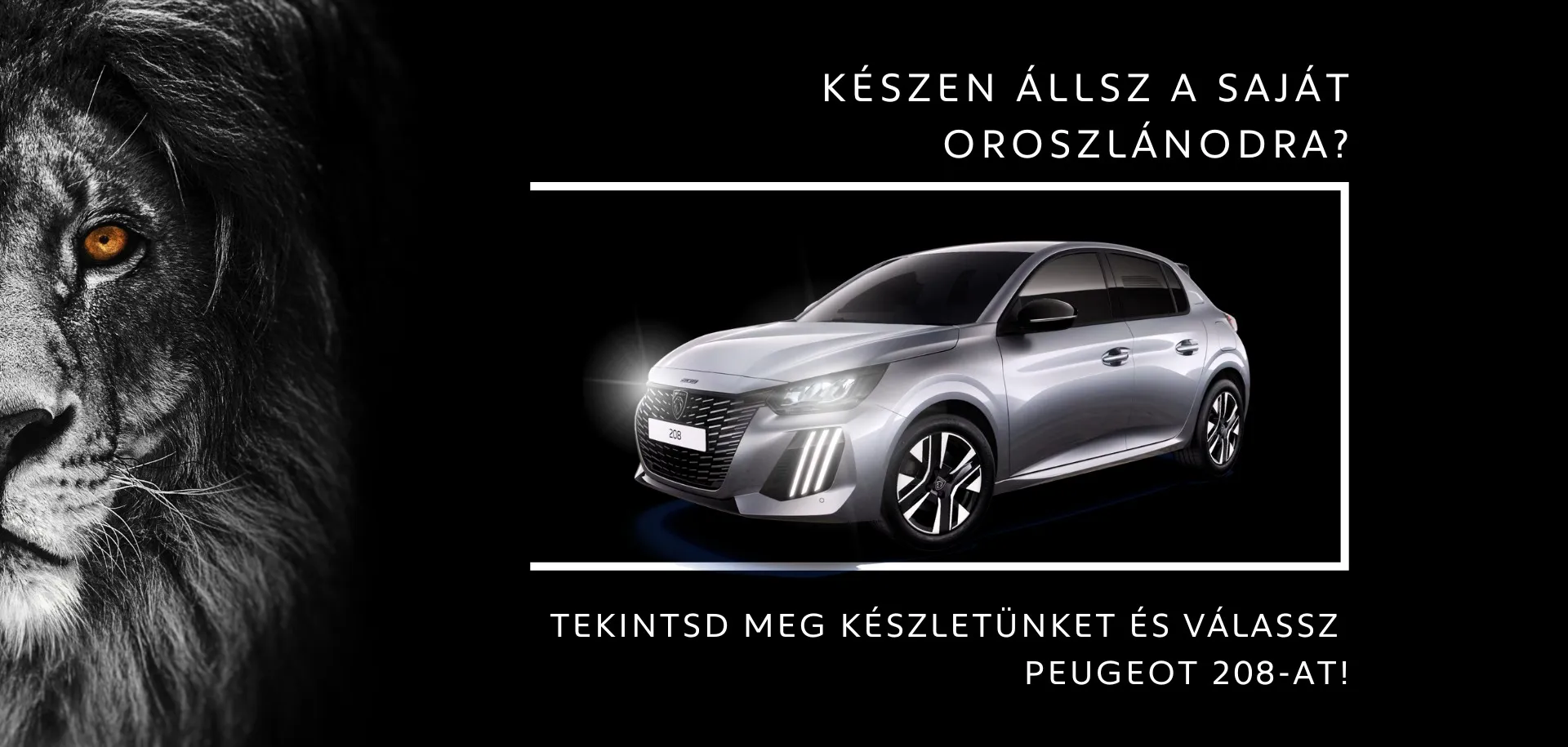 Legyen egy oroszlánod!